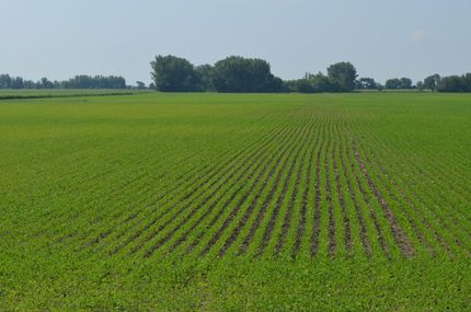 Ranch Property in Kankakee County, Illinois