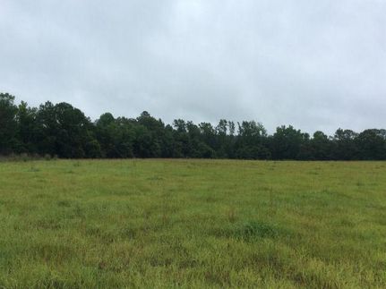 Farm Property in Laurens County, Georgia