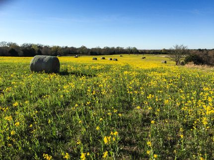 Farm Property in Robertson County, Texas