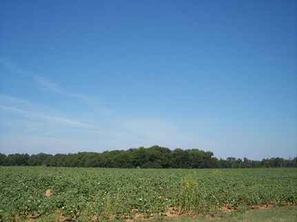 Ranch Property in Lee County, Georgia