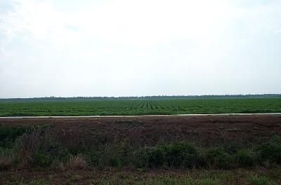Ranch Property in Chicot County, Arkansas