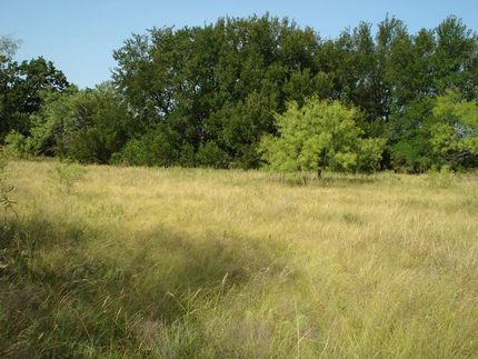 Farm Property in Hamilton County, Texas