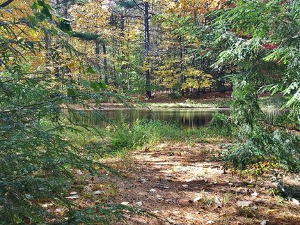 Undeveloped Land in Hillsborough County, New Hampshire