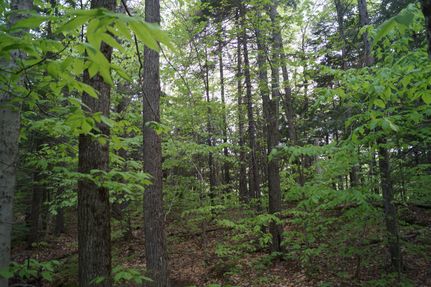 Farm Property in Washington County, Vermont