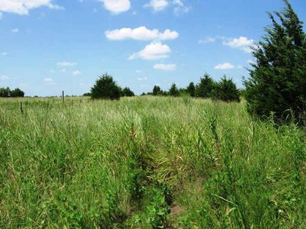Farm Property in Hunt County, Texas