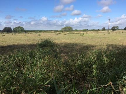 Undeveloped Land in San Patricio County, Texas