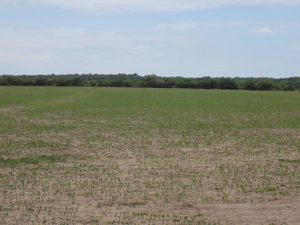 Farm Property in Anderson County, Kansas