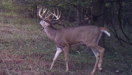 Property in Osborne County, Kansas