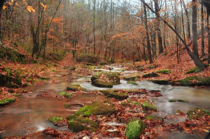 Farm Property in McMinn County, Tennessee