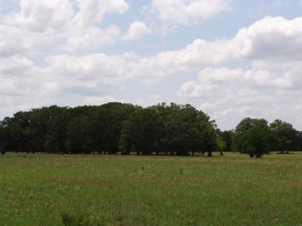 Farm Property in Madison County, Texas