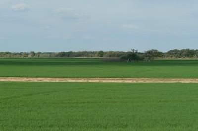 Farm Property in Jackson County, Texas