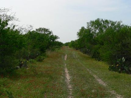 Farm Property in Duval County, Texas