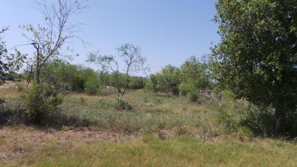 Farm Property in Jim Wells County, Texas
