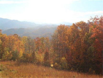 Undeveloped Land for sale in Avery County, North Carolina