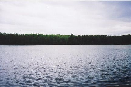 Lakefront Property in Langlade County, Wisconsin