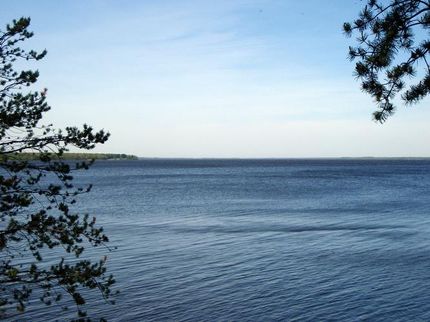 Lakefront Property in Juneau County, Wisconsin
