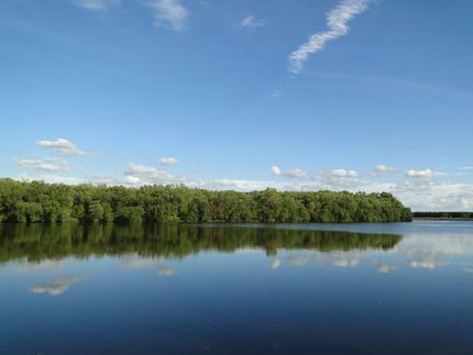 Farm Property in Wood County, Wisconsin