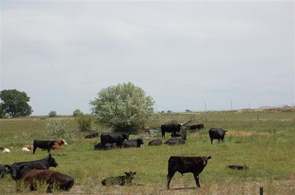 Property in Idaho County, Idaho