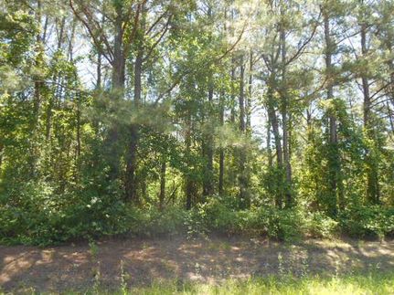 Ranch Property in Alcorn County, Mississippi
