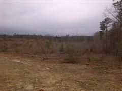 Farm Property in Tishomingo County, Mississippi