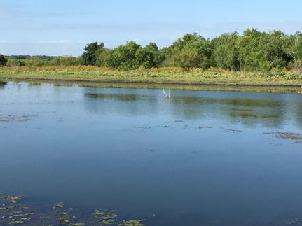 Commercial Property in Medina County, Texas