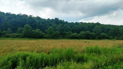 Residential Property in Chenango County, New York