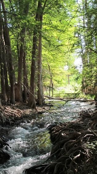Farm Property in Kerr County, Texas