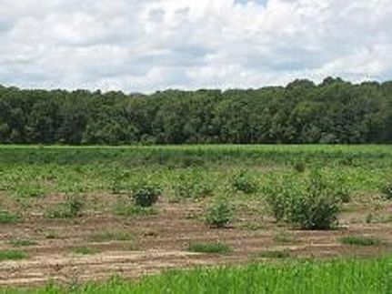 Farm Property in Calhoun County, Georgia