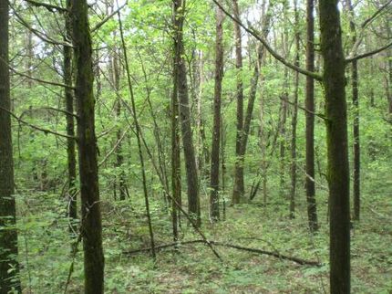 Farm Property in Grainger County, Tennessee