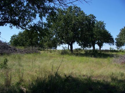 Farm Property in Hamilton County, Texas