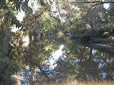 Undeveloped Land in Hamilton County, Texas