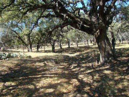 Farm Property in Mills County, Texas