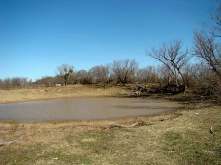 Property in Eastland County, Texas