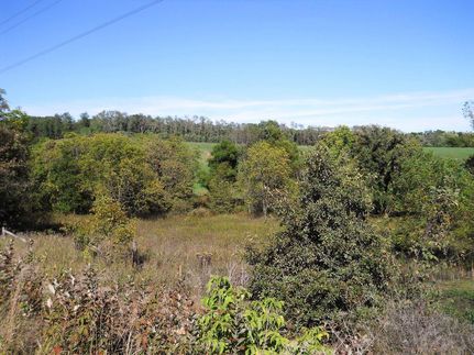 Farm Property in Monroe County, Iowa