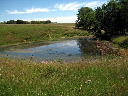 Property in Appanoose County, Iowa