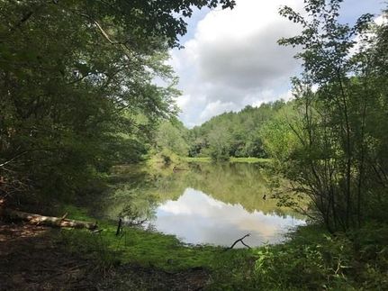 Farm Property in Irwin County, Georgia