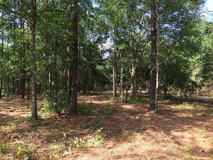 Recreational Property in Upson County, Georgia