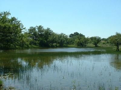 Ranch Property in Brown County, Texas