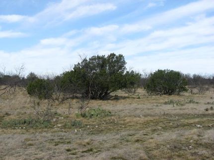 Farm Property in Schleicher County, Texas
