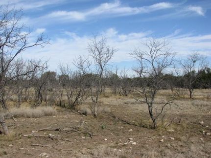 Ranch Property in Schleicher County, Texas