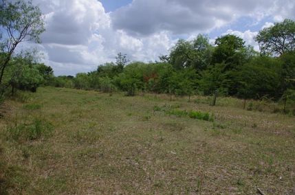 Recreational Property in Madison County, Texas