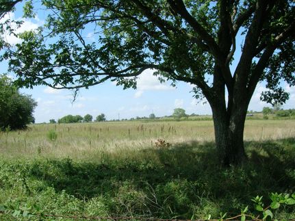 Recreational Property in Austin County, Texas