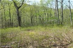 Farm Property in Hampshire County, West Virginia