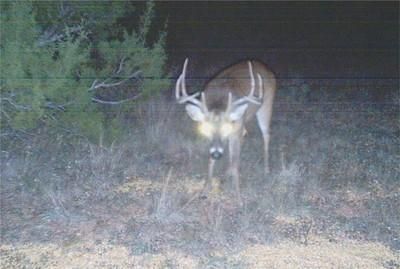 Farm Property in Scurry County, Texas