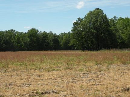 Ranch Property in Williamsburg County, South Carolina