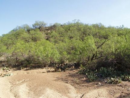 Farm Property in Coleman County, Texas