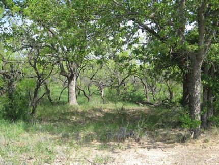 Farm Property in Coleman County, Texas