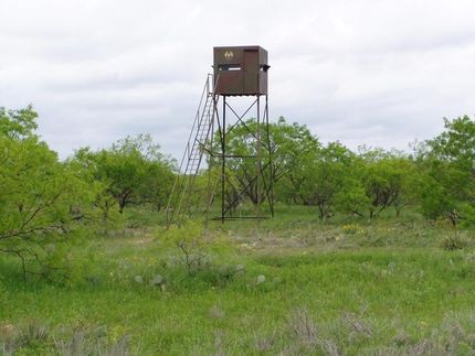 Farm Property in Coleman County, Texas