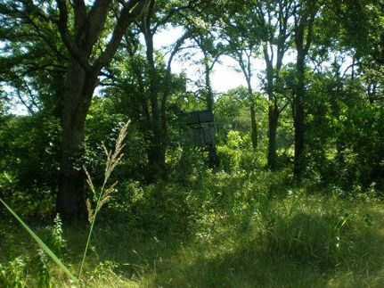 Farm Property in Bosque County, Texas