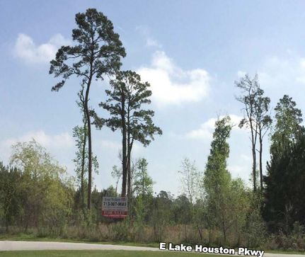 Ranch Property in Harris County, Texas